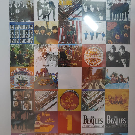Beatles Quadri Gadget
