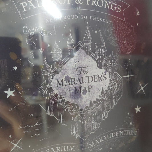 Harry Potter Quadri Gadget