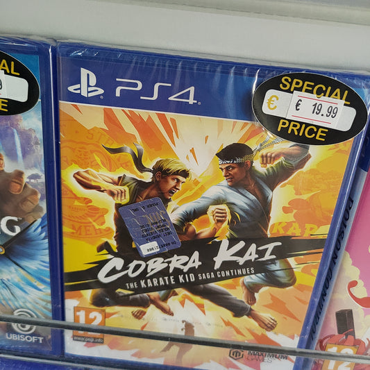Cobra Kai Ps4