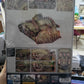 Plagueburst Craeler Warhammer